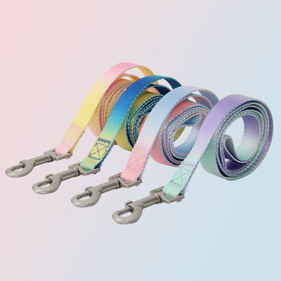 Juego de Correa para Perro Degradado Multicolor - Image 3