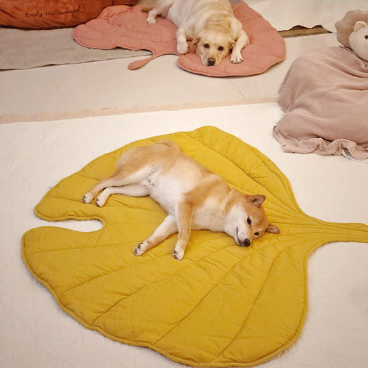 Colchoneta Climática Universal para Mascotas