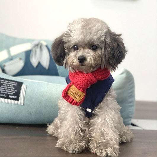 Suéter Estampado de Oso Abrigo Cálido