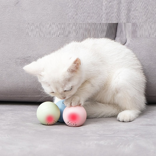 Pelota Musical Interactiva para Gatos - Sonidos y Texturas - Image 15