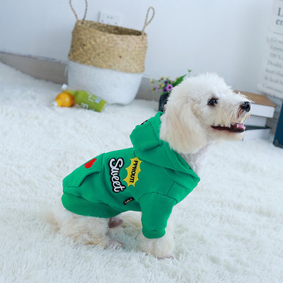 Ropa Elegante para Perros en Otoño e Invierno