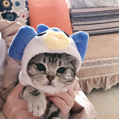 Gorro Divertido para Gatos - Accesorio Cálido y Adorable - Image 4