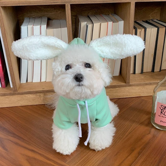 Suéter Fino para Perro Matcha con Diseño Osito - Image 9