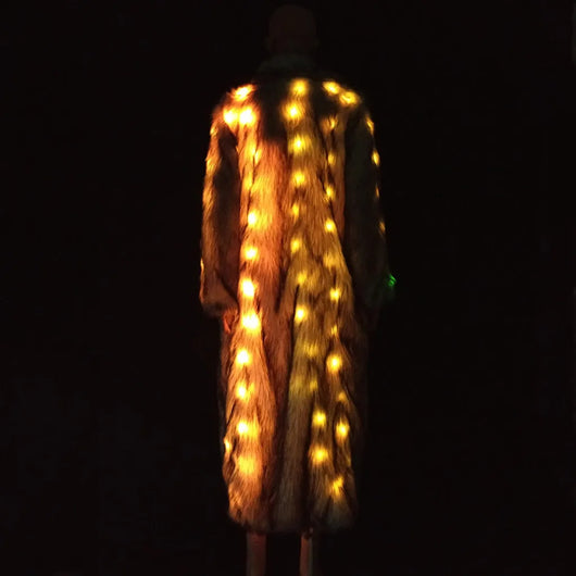 Abrigo LED Inteligente con Control Remoto - Image 21