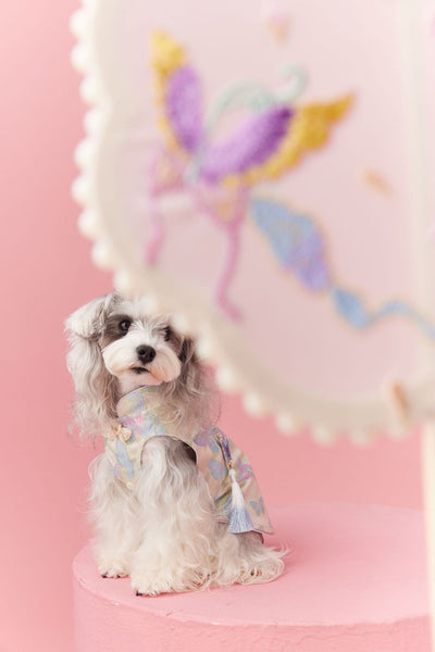Chaleco Cheongsam Estilo Neo-Chino para Mascotas Pequeños - Schnauzer y Bichón - Image 17