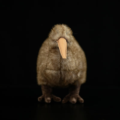 Peluche Kiwi de Nueva Zelanda - Juguete Suave Juwei - Image 6