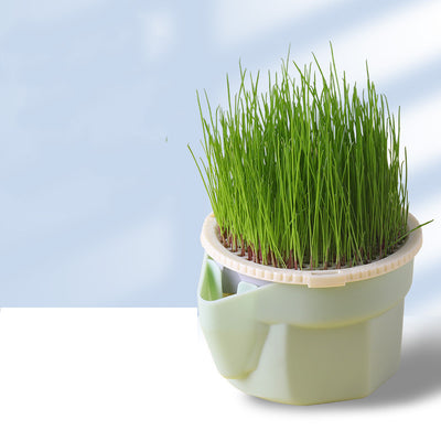 Mint green hydroponic cat grass cup with fresh rye and wheat grass, including 3 packs of each seed type.