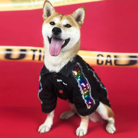 Chamarra de Mezclilla con Lentejuelas para Perros Pequeños, Medianos y Grandes - Image 8