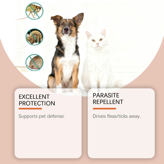 Gotas Preventivas contra Pulgas y Garrapatas para Perros y Gatos - Image 2