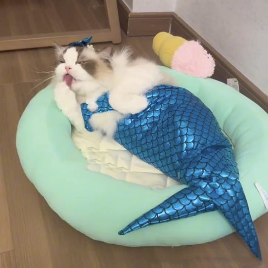 Disfraz de Sirena para Mascotas - Traje Divertido para Gatos y Perros - Image 4