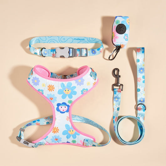 Cuerda Interactiva para Jugar con tu Mascota - Image 10