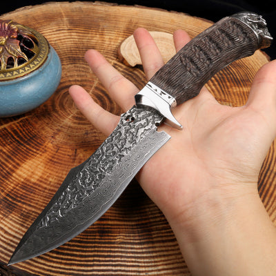 Cuchillo de Frutas Damascus God Of War - Hoja Afilada Profesional - Image 9