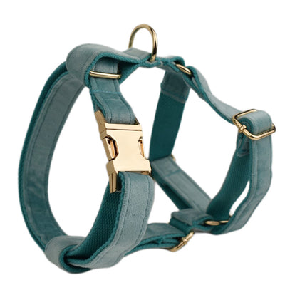 Collar Velvet para Mascota con Cuerda de Tracción - Image 12
