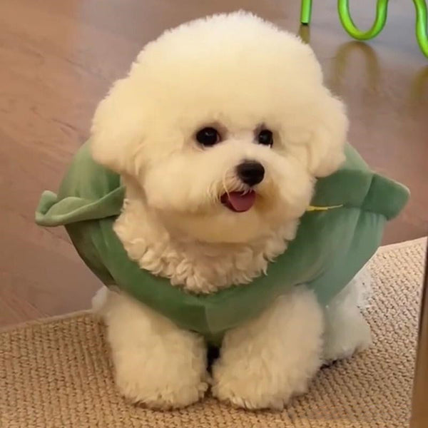 Chaleco Caparazón de Tortuga - Ropa Divertida para Mascotas