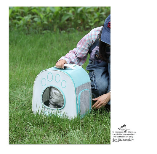 Mochila Transportadora Transparente para Mascotas con Doble Correa - Image 16