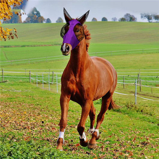 Máscara Protectora Lycra para Caballo con Orejas - Comodidad Total y Protección UV - Image 10