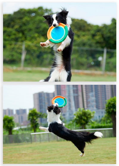 Juguete de Lino Resistente para Perros Grandes - Entrenamiento e Interacción - Image 9