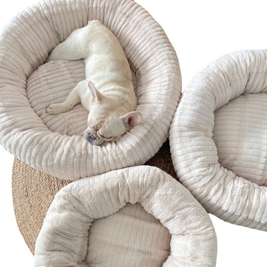 Cama Térmica Acogedora para Mascotas - Descanso Profundo y Confort - Image 5
