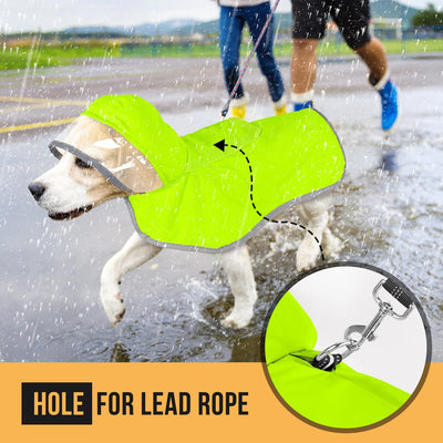 Impermeable para Perros Pequeños con Capucha Transparente - Image 18