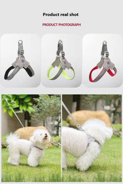 Chaleco Arnés con Cuerda de Sostén para Perros - Image 26