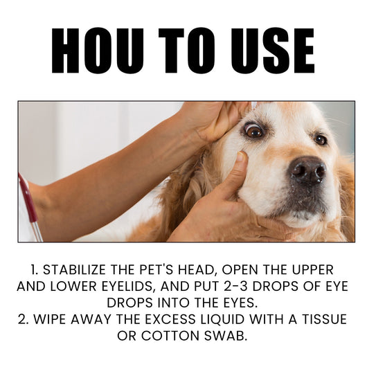 Gotas Oftálmicas para Perros y Gatos - Cuidado Ocular Profesional - Image 8