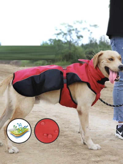 Traje de Buceo Térmico para Perros Medianos y Grandes - Image 4