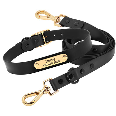 Correa con Collar Mediano para Perros Teddy - Image 11