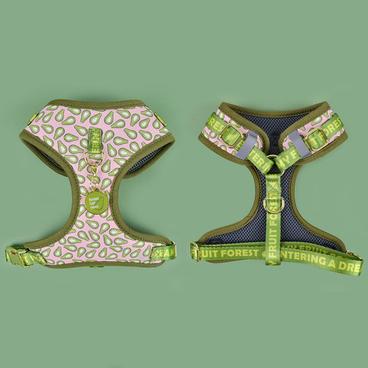 Arnés Pectoral Transpirable para Perros - Ajustable y Cómodo - Image 10
