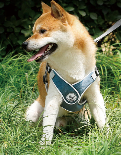 Arnés Ajustable Reflectante para Perros y Gatos - Chaleco de Seguridad con Malla Transpirable - Image 15