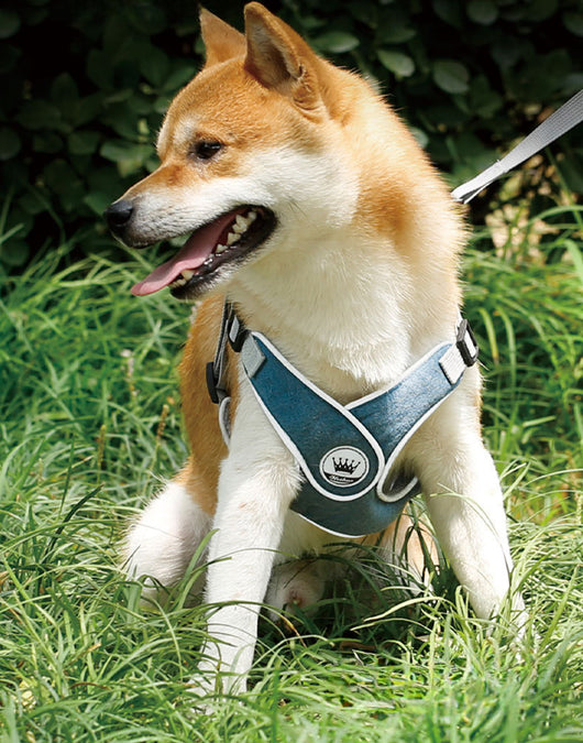 Arnés Ajustable Reflectante para Perros y Gatos - Chaleco de Seguridad con Malla Transpirable - Image 15