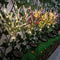 Luz LED Decorativa para Jardín con Simulación de Plantas Naturales
