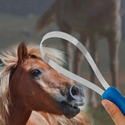 Peine Curry Profesional para Caballos y Animales - Rascador Antideslizante - Image 11