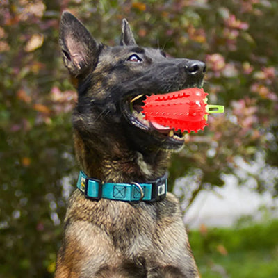 Juguete Interactivo para Dentición de Perros con Diseño de Chile - Image 21