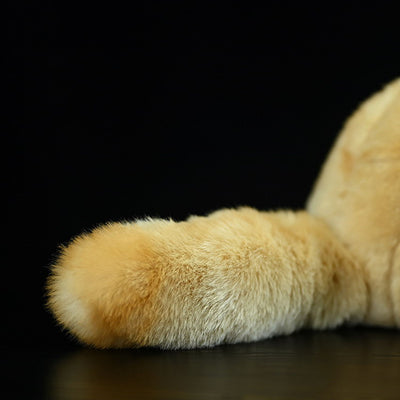 Peluche Zorro de Orejas Grandes - Juguete Realista de Felpa Suave - Image 10