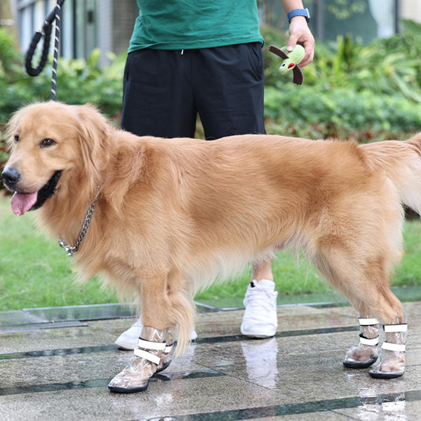 Zapatos Impermeables para Perros Grandes - Protección Total contra el Agua