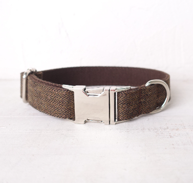 Collar Resistente para Perros con Hebilla de Aleación y Cuerda de Sujeción