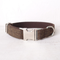 Collar Resistente para Perros con Hebilla de Aleación y Cuerda de Sujeción