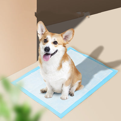 Pañales Absorbentes para Perros - Protección Total - Image 14