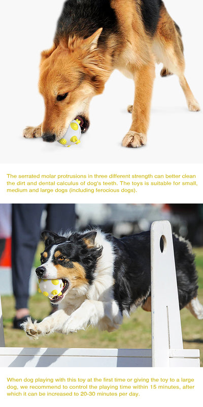 Juguete Pelota Interactiva para Perros - Limpieza Dental, Entrenamiento Mental y Alivio del Estrés - Image 13