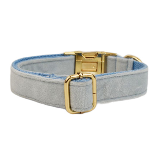 Collar para Perro de Terciopelo Premium - Image 8