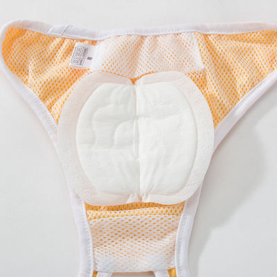 Pantalón Protector para Perros con Almohadilla de Seguridad - Image 4