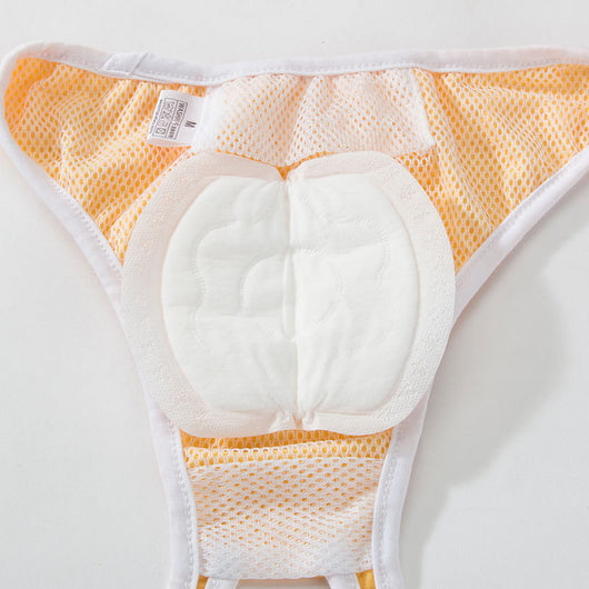 Pantalón Protector para Perros con Almohadilla de Seguridad - Image 4