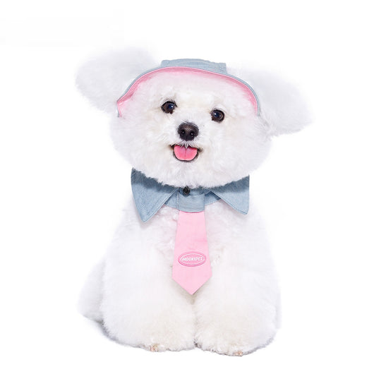 Toalla Absorbente para Perros Pequeños - Yorkshire, Bichón y Razas Toy - Image 9