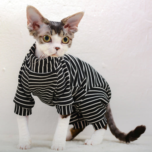 Suéter de Protección Abdominal para Mascotas de Cuatro Patas - Image 10