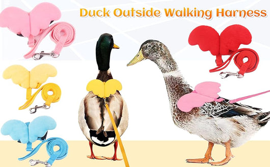 Arnés Ajustable con Alas y Cuerda de Tracción para Aves de Corral y Mascotas Pequeñas - Image 20