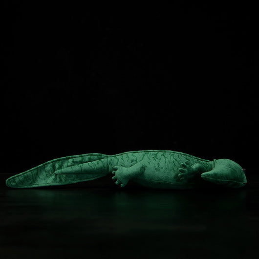 Peluche Salamandra Bonin Realista - Serie Biológica Educativa - Image 15