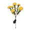Clavel Amarillo