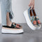 Zapatos Plataforma Estilo Coreano para Mujer - Primavera