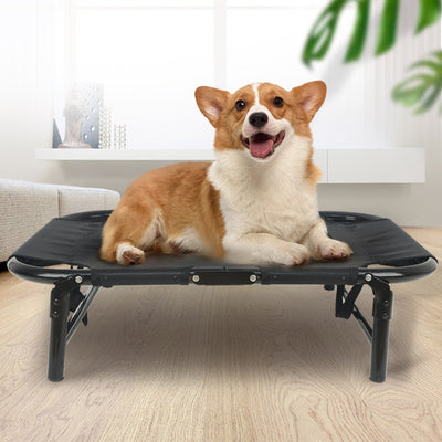 Cama Plegable para Perros Grandes, Medianos y Pequeños - Instalación Fácil - Image 4