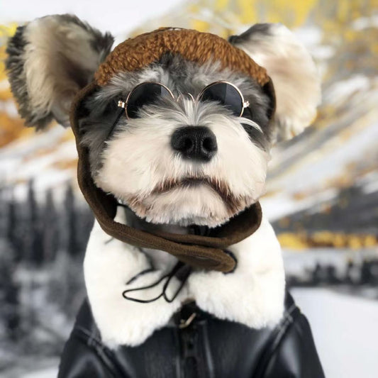 Abrigo Térmico para Mascotas - Colección Otoño Invierno - Image 2